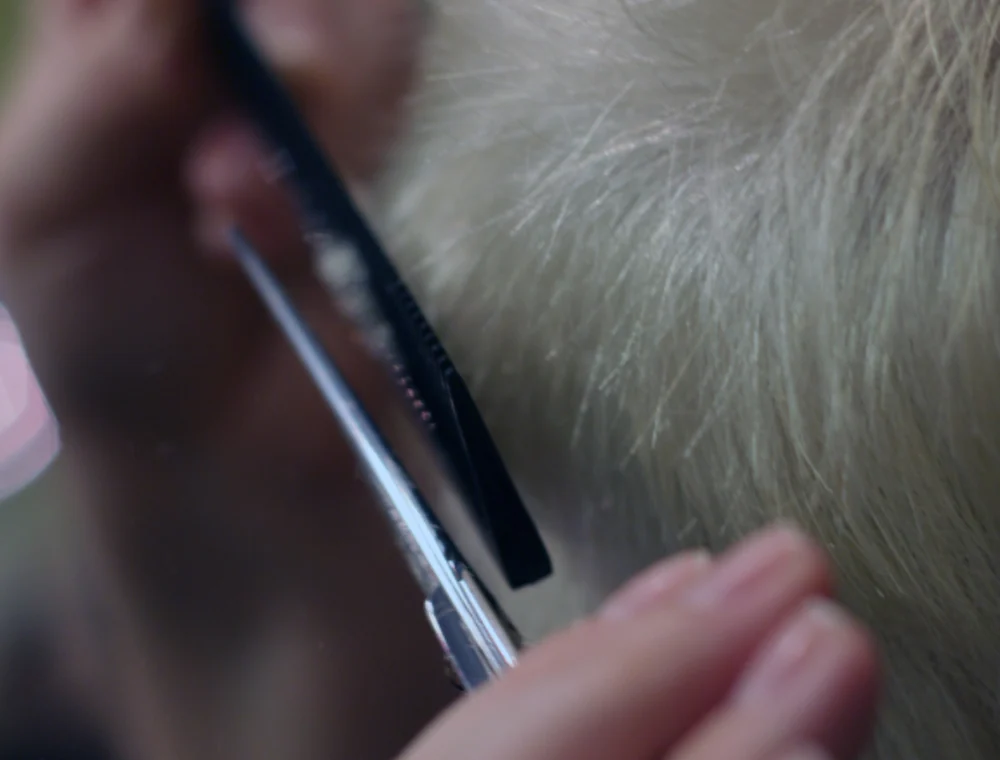Close-up of haircutting tools and hair detail
