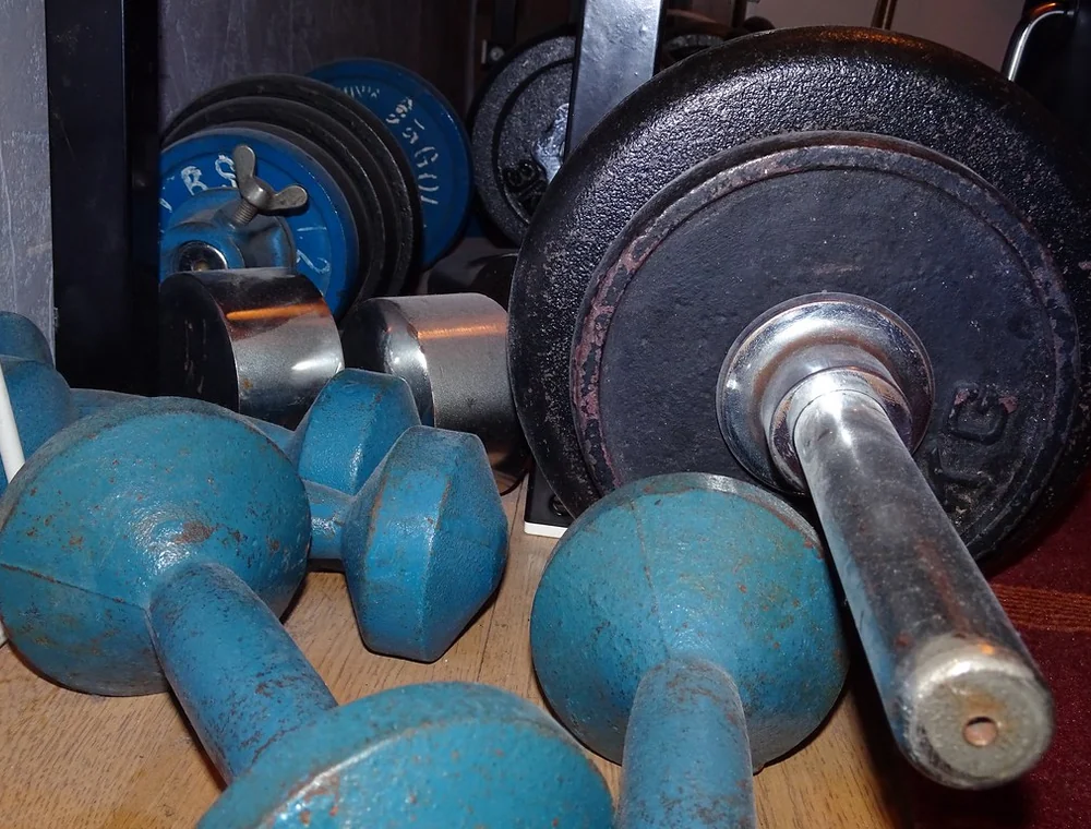 Free weights and dumbbells arranged on a training floor